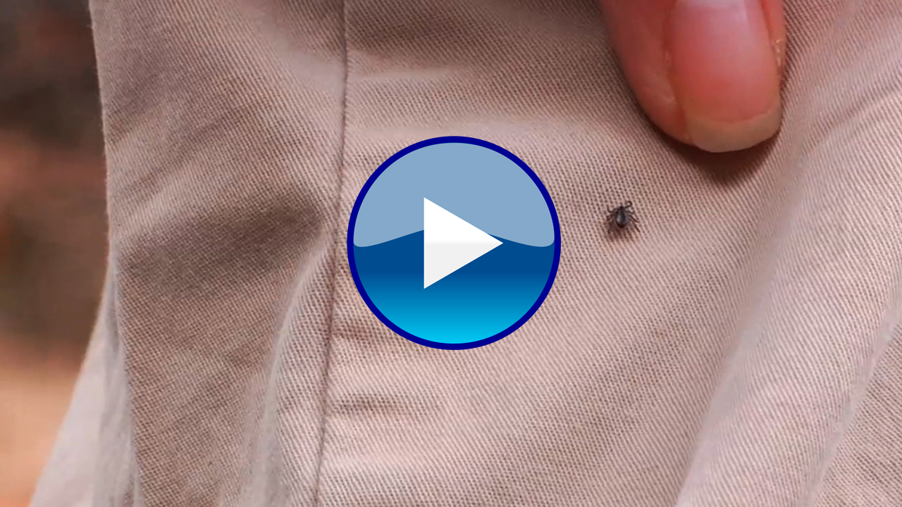 Clothing Repellents